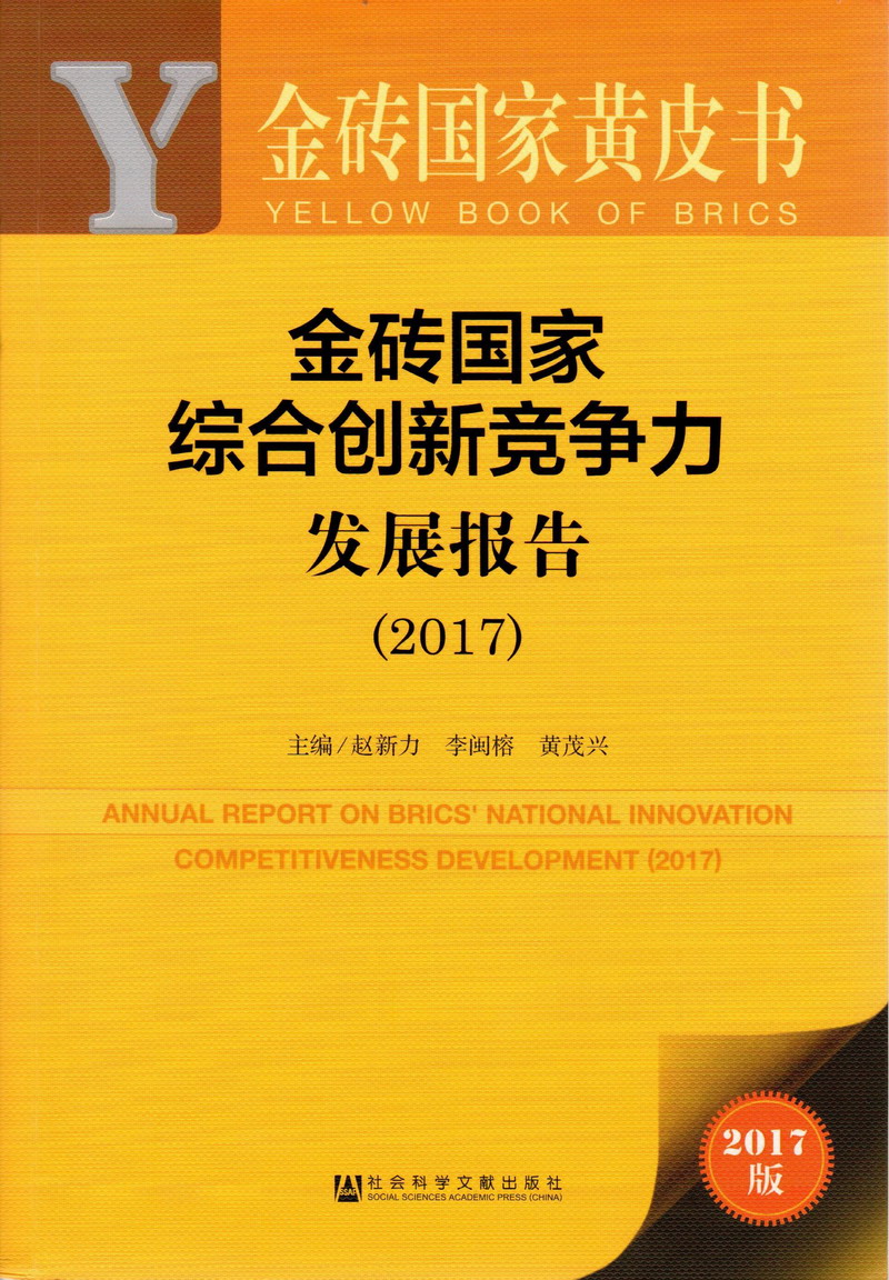 欧美激情爱爱艹艹死网金砖国家综合创新竞争力发展报告（2017）